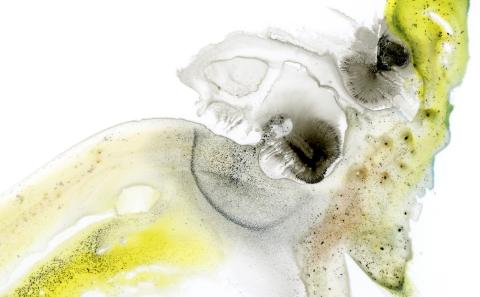aquarelle (cover for the CD Infiltrations)